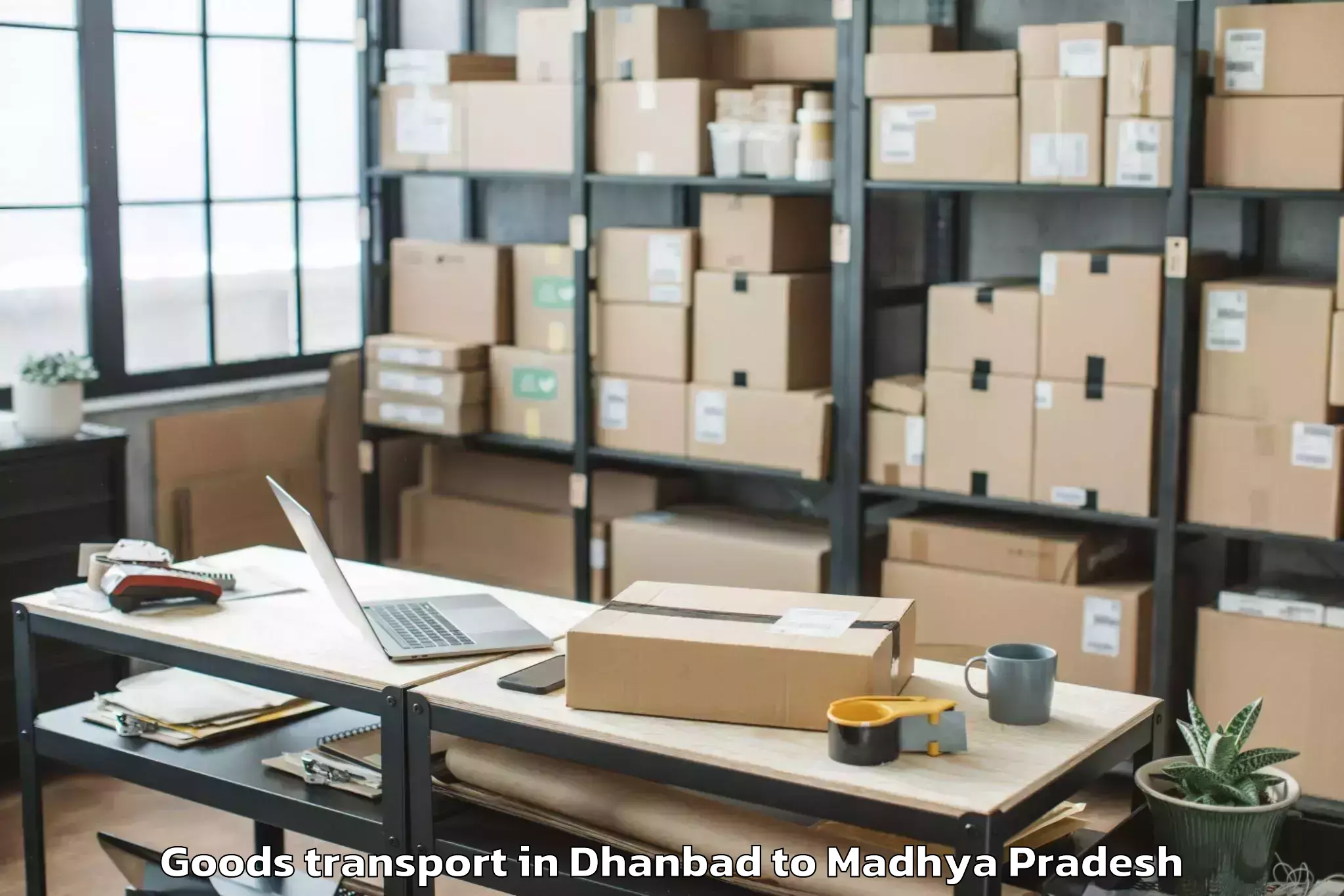 Expert Dhanbad to Machalpur Goods Transport